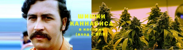 ПСИЛОЦИБИНОВЫЕ ГРИБЫ Армянск