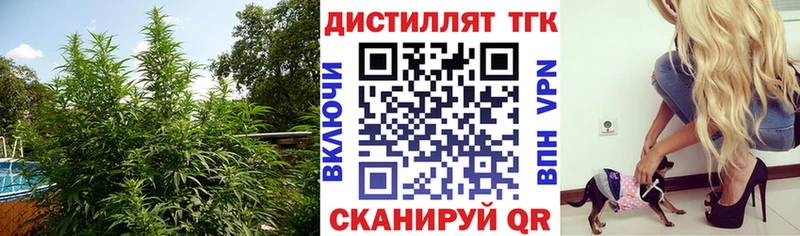 ТГК THC oil  где купить наркотик  Устюжна 